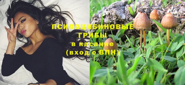 трава Алзамай