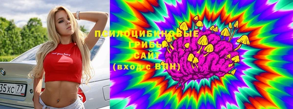 дживик Алексин