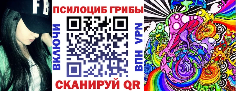 Купить  Вязьма  Галлюциногенные грибы Cubensis 